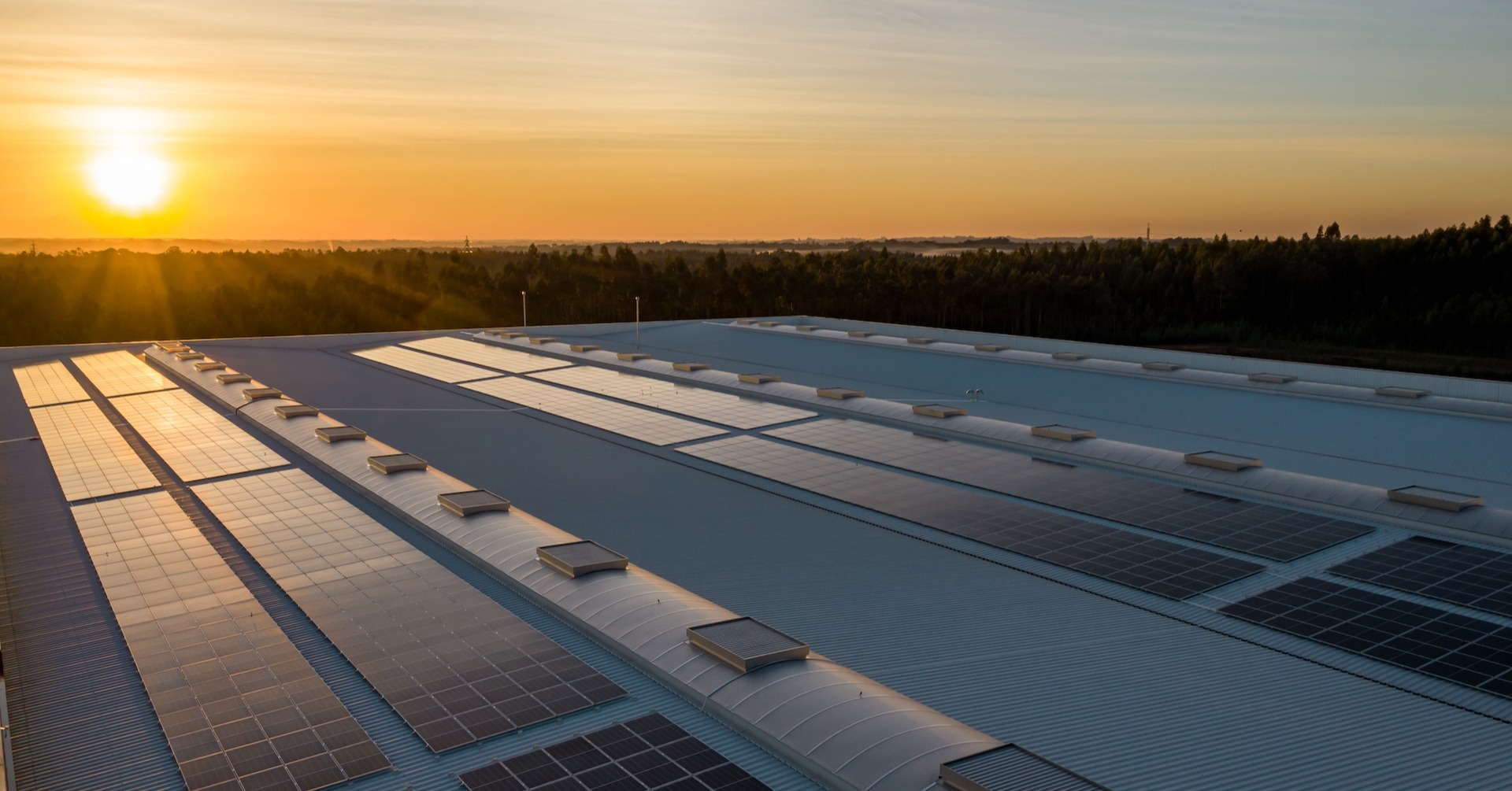 Rentabilidad de energía solar en empresas